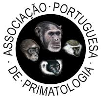 logo 2 APP